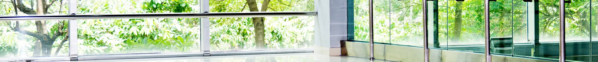 An Office Building Interior with Large Windows with Green Trees and Bushes in the Background